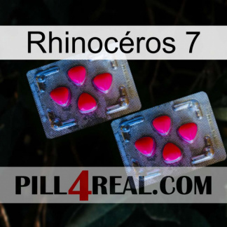 Rhinocéros 7 14
